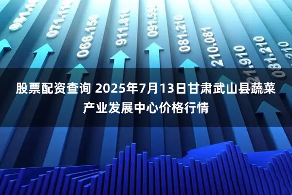 股票配资查询 2025年7月13日甘肃武山县蔬菜产业发展中心价格行情
