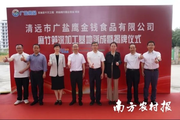 股票配资查询 鹰金钱加工基地落地英德！省盐业集团助力清远西牛麻竹笋“节节高”