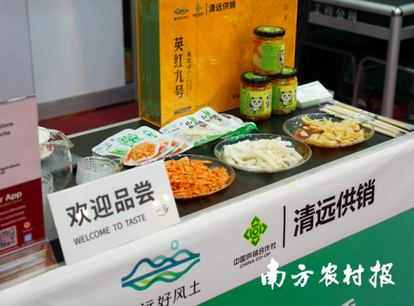 股票配资平台股票配资 西牛麻竹笋未采先火！清远供销系统广交会首秀订单破百万元