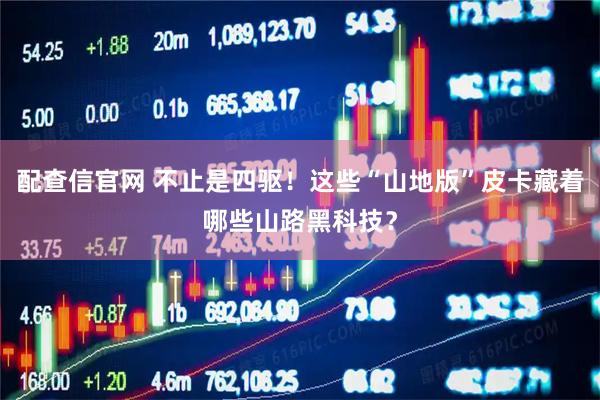 配查信官网 不止是四驱！这些“山地版”皮卡藏着哪些山路黑科技？